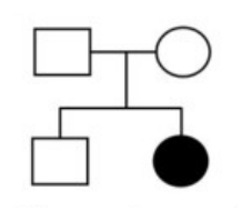 Phả hệ: bố trắng, mẹ trắng; con trai trắng, con gái đen