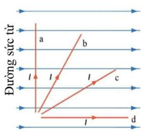 Các đường sức từ nằm ngang hướng sang phải; đoạn a thẳng đứng, đoạn b và c nghiêng, đoạn d nằm ngang dọc theo đường sức; mỗi đoạn có dòng điện I