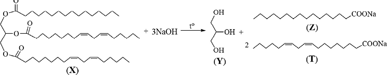 phương trình: chất béo X (triglyceride của một gốc acid béo no và hai gốc acid béo không no có hai liên kết đôi C=C) + 3NaOH, đun nóng → glycerol Y + muối Z (gốc no, –COONa) + 2 muối T (gốc có hai liên kết đôi, –COONa)
