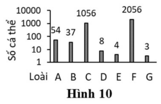 Hình 10: biểu đồ cột số cá thể (thang log) của các loài A: 54, B: 37, C: 1056, D: 8, E: 4, F: 2056, G: 3
