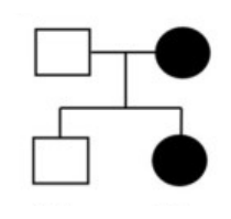 Phả hệ: bố trắng, mẹ đen; con trai trắng, con gái đen