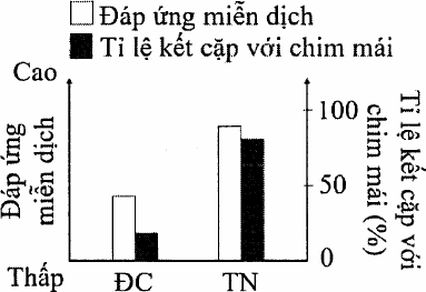 biểu đồ cột của hai nhóm ĐC và TN: đáp ứng miễn dịch (cột trắng) và tỉ lệ kết cặp với chim mái (%, cột đen); ở nhóm TN cả hai chỉ số đều cao hơn nhóm ĐC, tỉ lệ kết cặp khoảng 15 % ở ĐC và khoảng 80 % ở TN