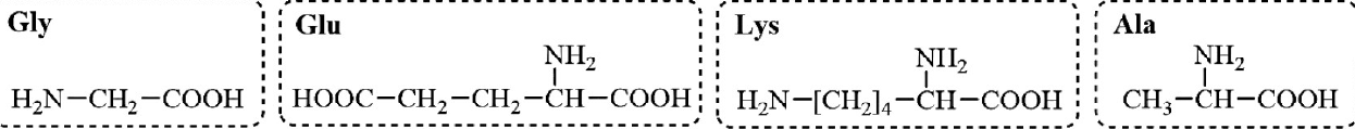 công thức cấu tạo: Gly H2N–CH2–COOH; Glu HOOC–CH2–CH2–CH(NH2)–COOH; Lys H2N–[CH2]4–CH(NH2)–COOH; Ala CH3–CH(NH2)–COOH