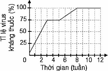 đồ thị tỉ lệ virus kháng thuốc (%) theo thời gian (tuần): tăng từ khoảng 5 % lên 75 % ở tuần 3, giữ 75 % đến tuần 5, tăng lên 100 % ở tuần 8 rồi giữ 100 % đến tuần 12