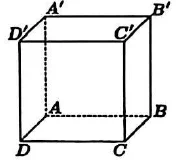 Hình lập phương ABCD.A'B'C'D', đáy ABCD ở dưới, các cạnh khuất vẽ nét đứt