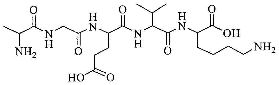 Công thức khung của một mạch peptide: đầu trái có nhóm NH2, đầu phải có nhóm COOH; dọc mạch có các nhóm C=O và NH xen kẽ, một nhánh mang nhóm COOH, một nhánh isopropyl và một nhánh dài mang nhóm NH2