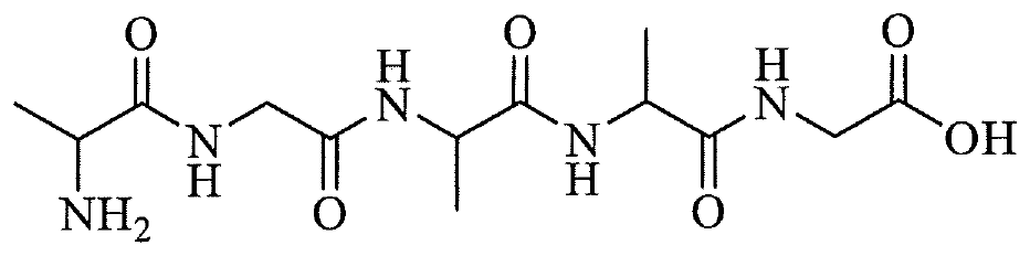 Công thức khung của một mạch peptide: đầu trái có nhóm NH2, đầu phải có nhóm COOH, giữa là các nhóm C=O nối với NH xen kẽ các nguyên tử carbon có hoặc không có nhóm methyl