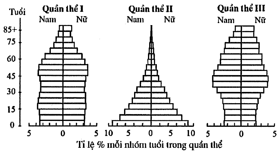 Ba tháp tuổi của quần thể I, II, III (nam bên trái, nữ bên phải, trục dọc là tuổi từ 0 đến 85+, trục ngang là tỉ lệ % mỗi nhóm tuổi)