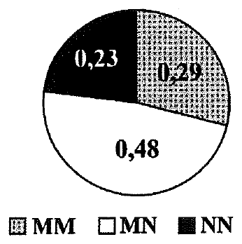 Biểu đồ tròn tần số kiểu gene: MM (chấm xám) 0,29; MN (trắng) 0,48; NN (đen) 0,23