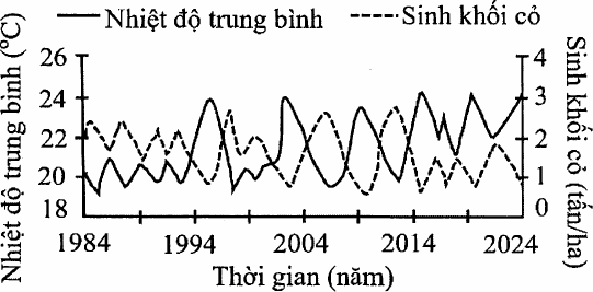 đồ thị nhiệt độ trung bình (18 – 26 °C, đường liền) và sinh khối cỏ (0 – 4 tấn/ha, đường nét đứt) theo thời gian từ năm 1984 đến năm 2024; hai đường biến động ngược chiều nhau