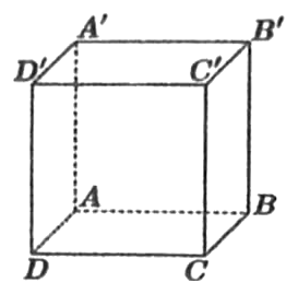 Hình lập phương ABCD.A'B'C'D', đáy ABCD ở dưới, các cạnh AA' và AB vẽ nét đứt