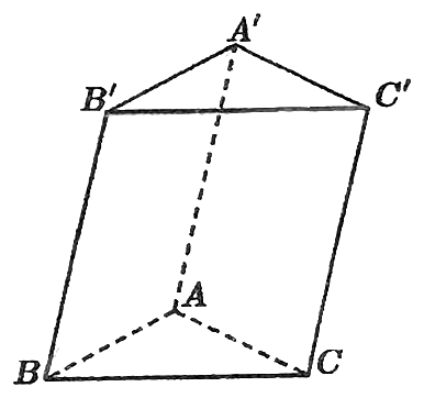 Hình lăng trụ tam giác ABC.A'B'C', đáy ABC ở dưới, các cạnh khuất AA', AB, AC vẽ nét đứt