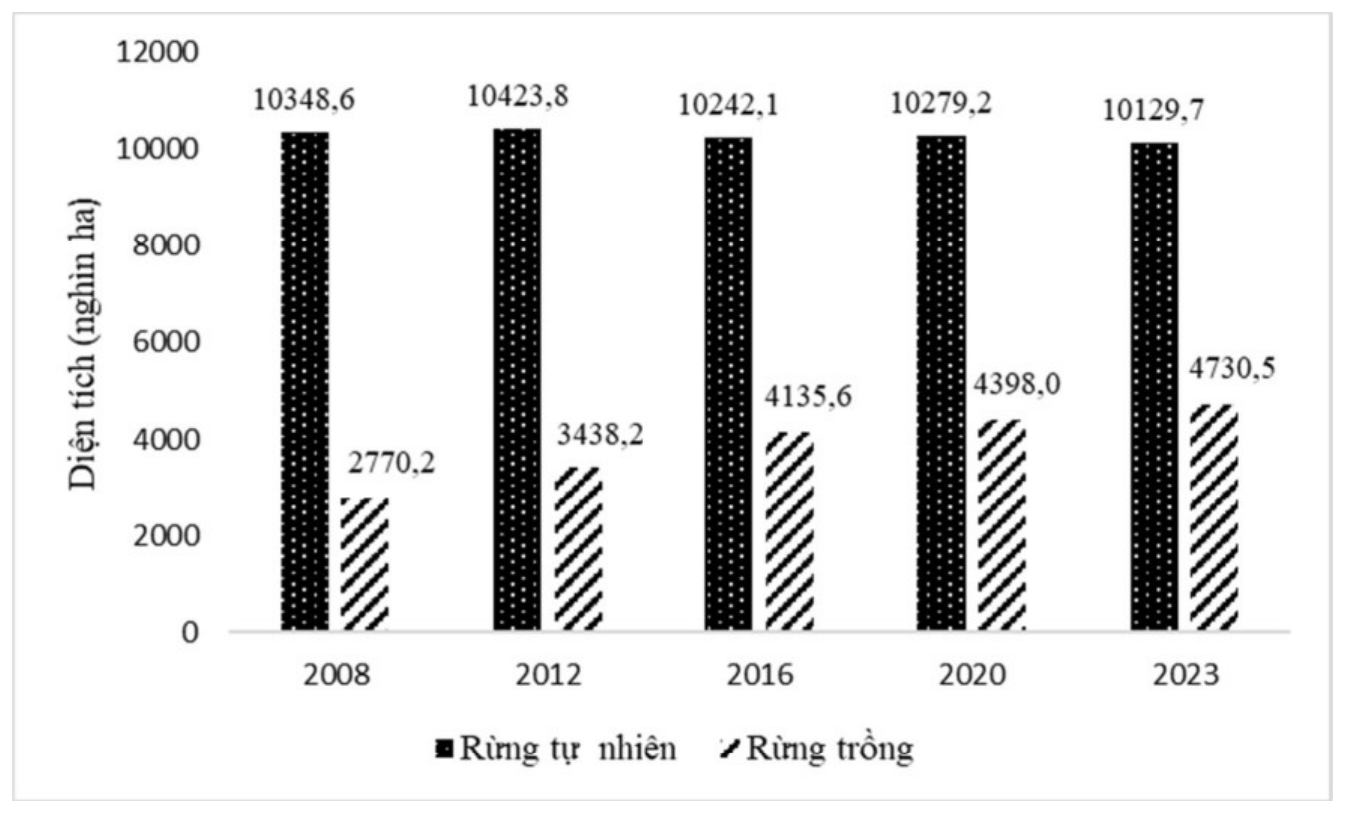 Biểu đồ cột diện tích rừng tự nhiên và rừng trồng (nghìn ha) các năm 2008, 2012, 2016, 2020, 2023. Rừng tự nhiên: 10348,6; 10423,8; 10242,1; 10279,2; 10129,7. Rừng trồng: 2770,2; 3438,2; 4135,6; 4398,0; 4730,5