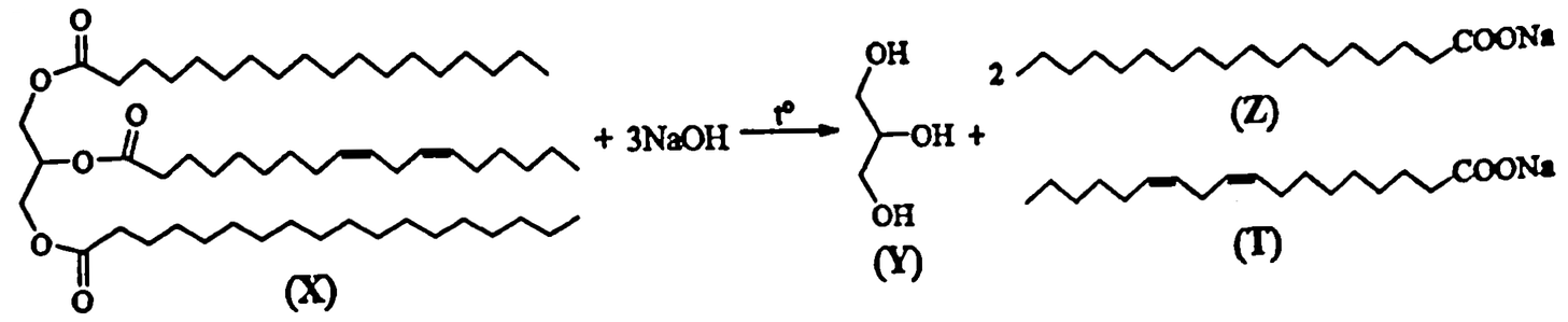 phương trình: chất béo X (hai gốc acid béo no 18 C ở trên và dưới, một gốc acid béo 18 C có hai liên kết đôi C=C ở giữa) + 3NaOH, đun nóng → Y (mạch 3 carbon, mỗi carbon gắn một nhóm –OH) + 2 Z (gốc no 18 C, –COONa) + T (gốc 18 C có hai liên kết đôi C=C, –COONa)