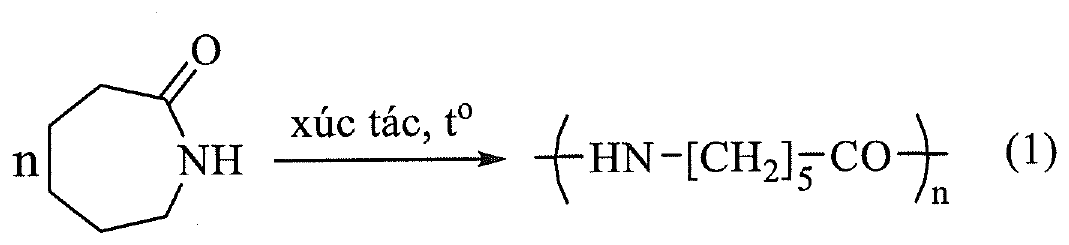 Phương trình (1): n phân tử caprolactam (vòng bảy cạnh chứa nhóm C=O và NH), xúc tác, nhiệt độ, tạo polymer –(HN–[CH2]5–CO)n–