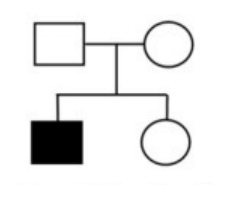 Phả hệ: bố trắng, mẹ trắng; con trai đen, con gái trắng